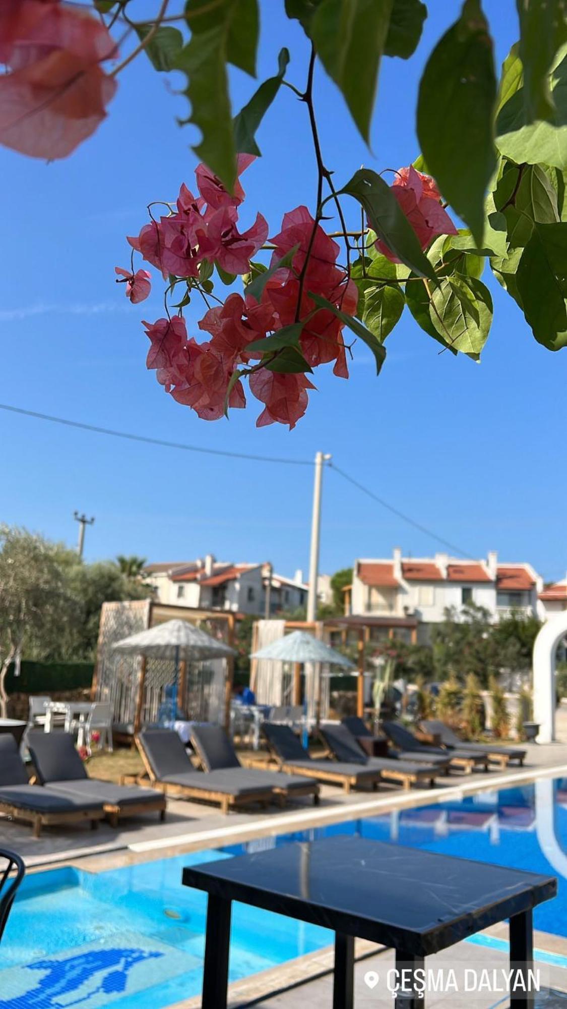 Belong Butik Otel Çeşme 外观 照片