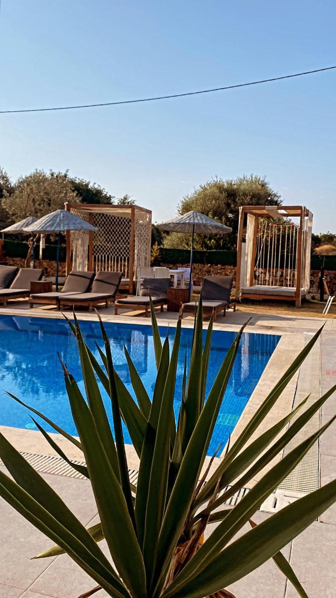 Belong Butik Otel Çeşme 外观 照片