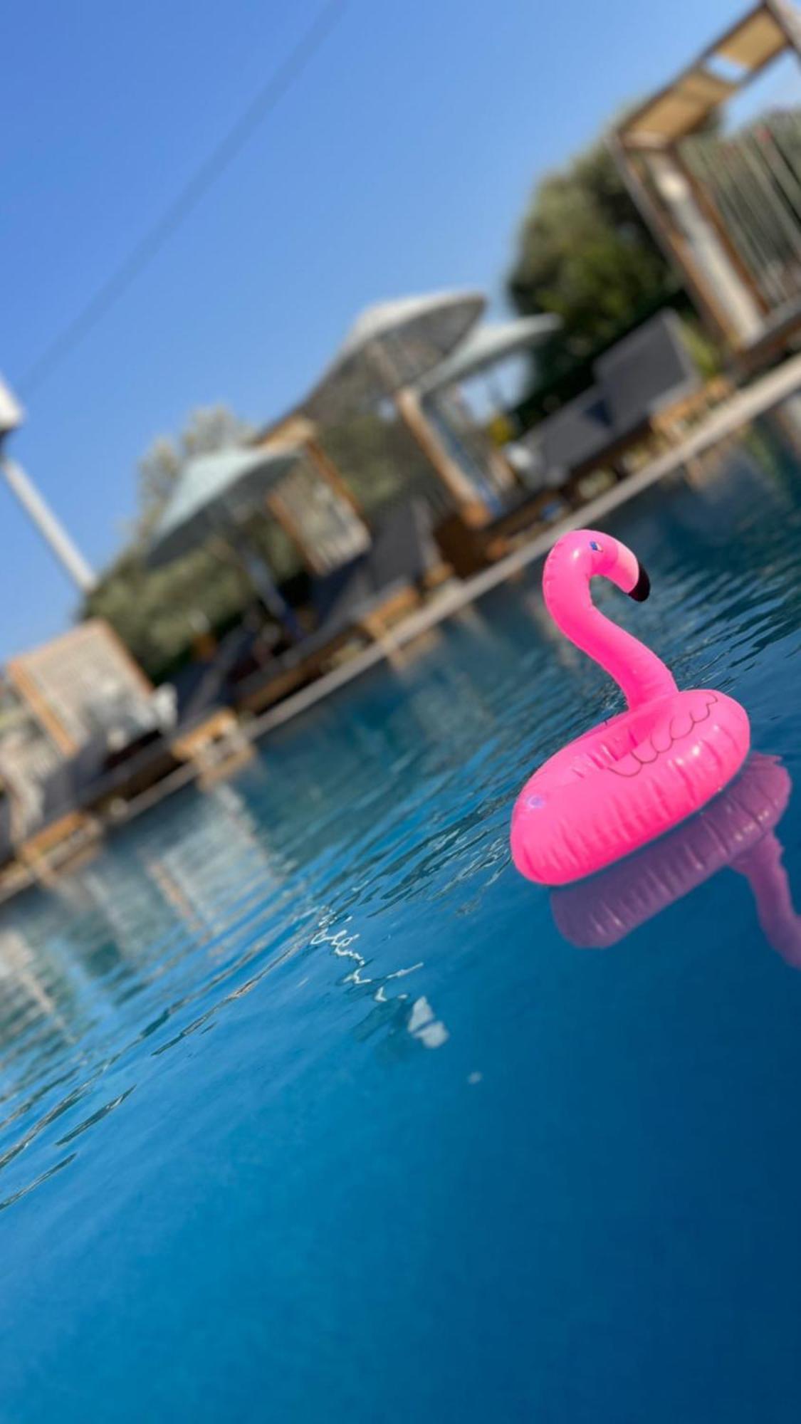 Belong Butik Otel Çeşme 外观 照片
