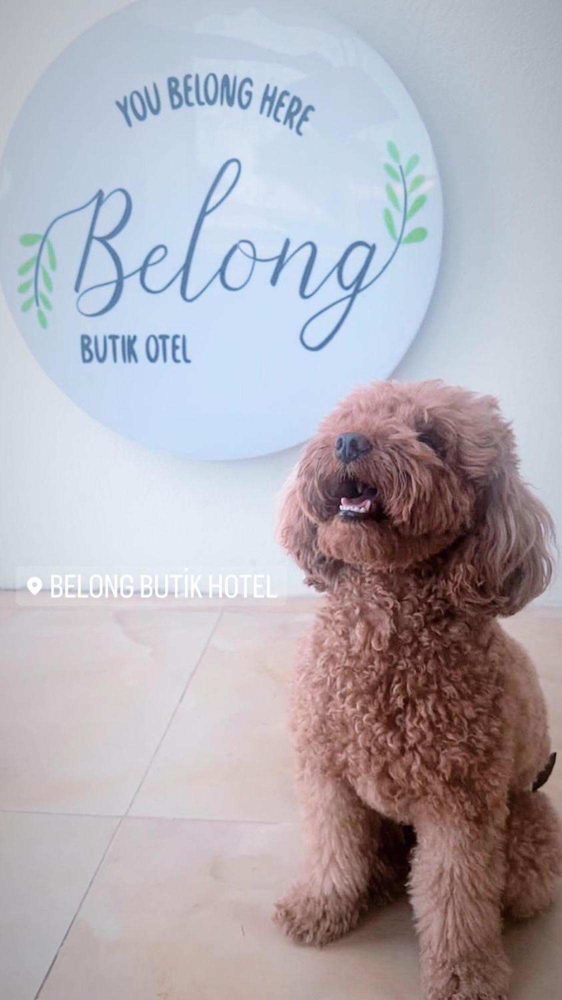 Belong Butik Otel Çeşme 外观 照片