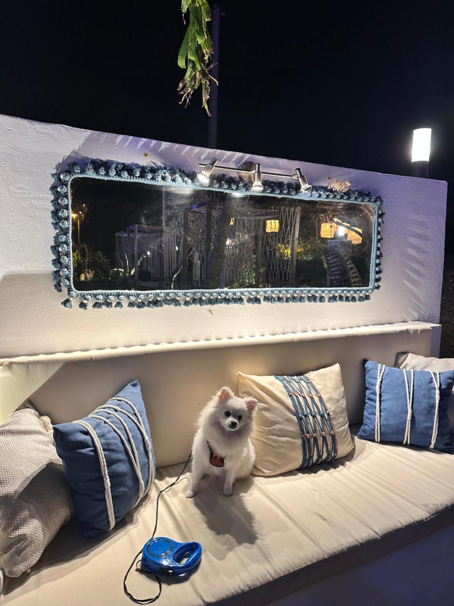 Belong Butik Otel Çeşme 外观 照片